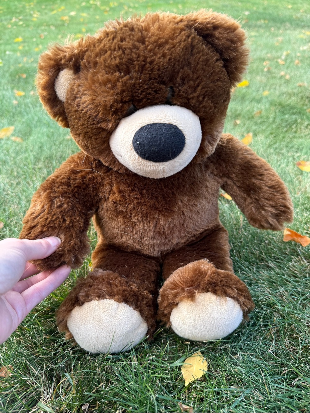 Build-A-Bear Brown Teddy with Cream Accents